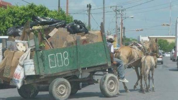Carretoneros no podrán usar animales para recolección de basura