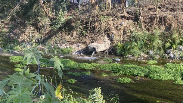 Agoniza La Boca y contaminan afluentes… ¡con aguas negras!