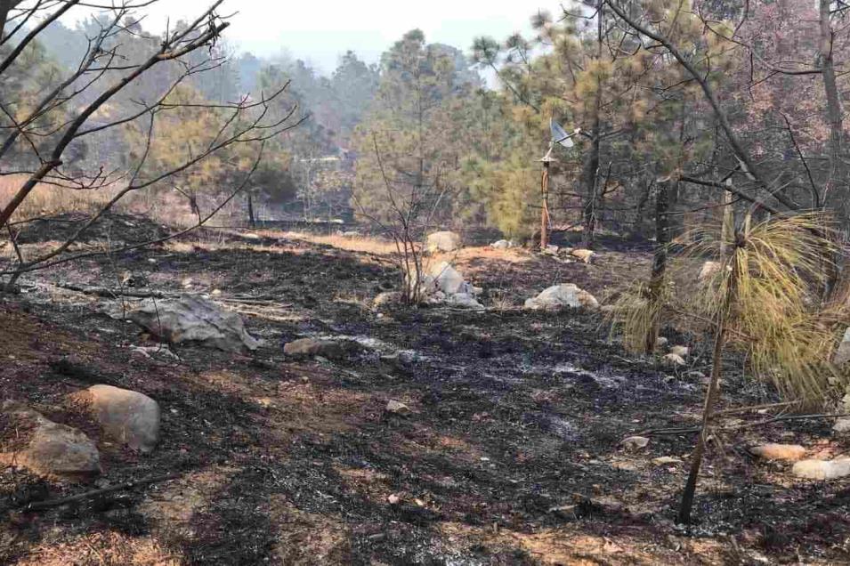 Incendio en Sierra de Santiago ha dañado mil 500 hectáreas
