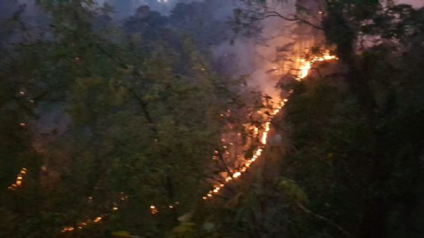 Incendio en Sierra de Santiago ha consumido 90 hectáreas