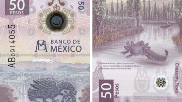 Declaran al billete mexicano de $50 como el más bonito del mundo