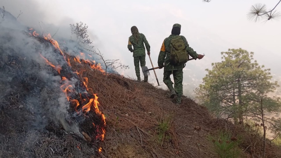 Suma incendio en sierra de Santiago 15 días activo