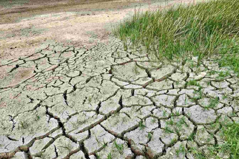 Conagua informa que el 80% de Tamaulipas presenta sequía