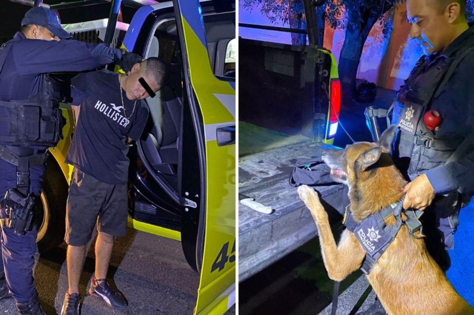 Capturan a hombre con droga gracias a Policía Canina
