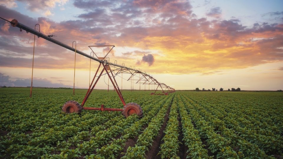En medio de la crisis de agua, el agro impulsa la economía