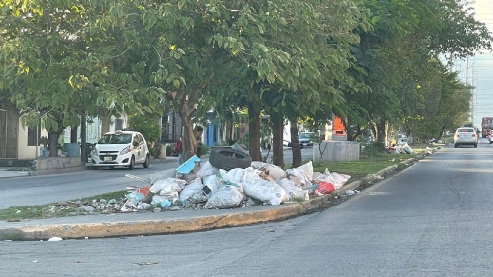 Denuncian acumulación de basura en colonia Industrial, en Monterrey