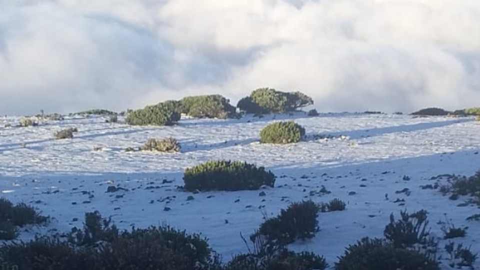 Frío deja hasta nueve centímetros de nieve en Galeana