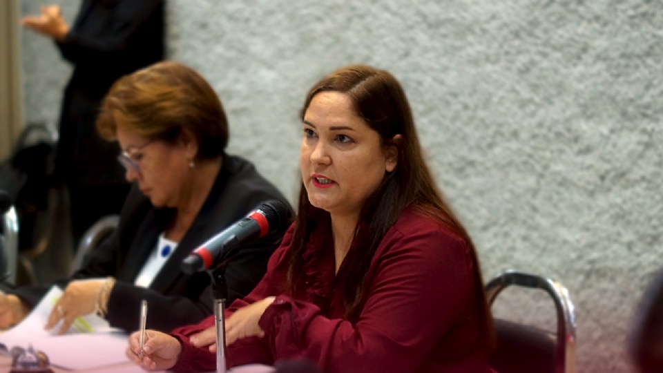 Otorgan a diputada Jessica Martínez Comisión de Presupuesto