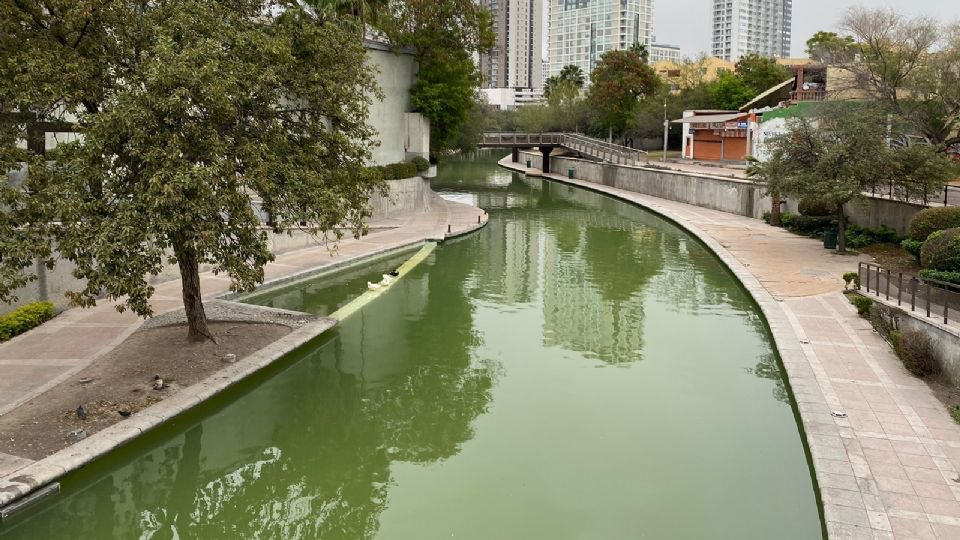 Luce verde el agua de Santa Lucía