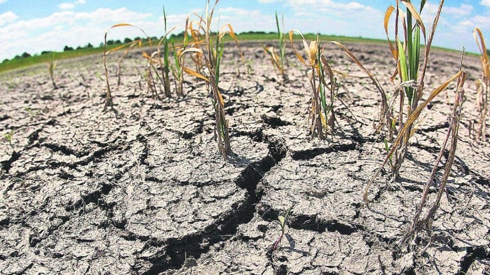 Tamaulipas analiza declaratoria de sequía