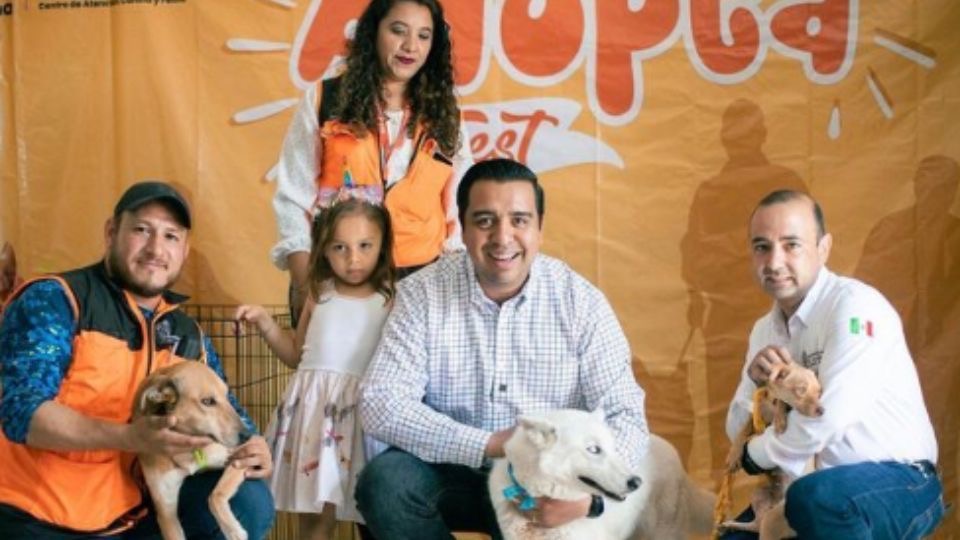 Santa Catarina tendrá jornada de adopción de perritos y gatos