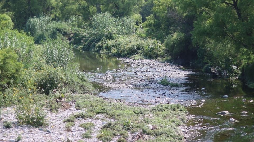 Gonher reconoce contaminación en río La Silla, pero se deslinda de últimas descargas