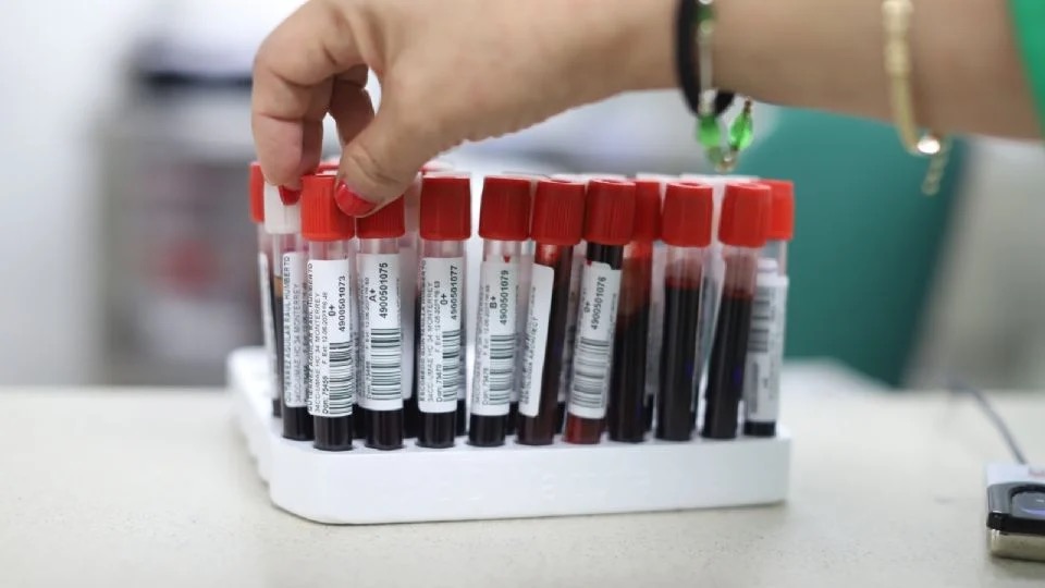 NL tiene el segundo banco de sangre más productivo de México