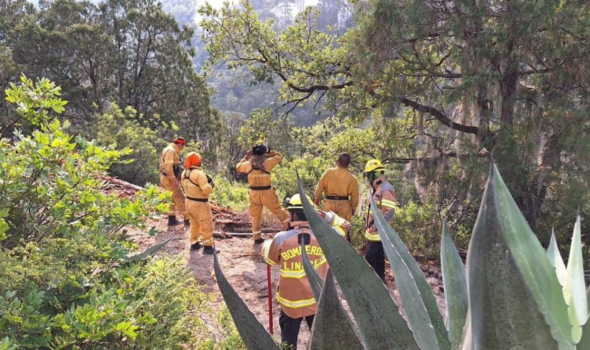 Siguen combatiendo incendio forestal en Iturbide
