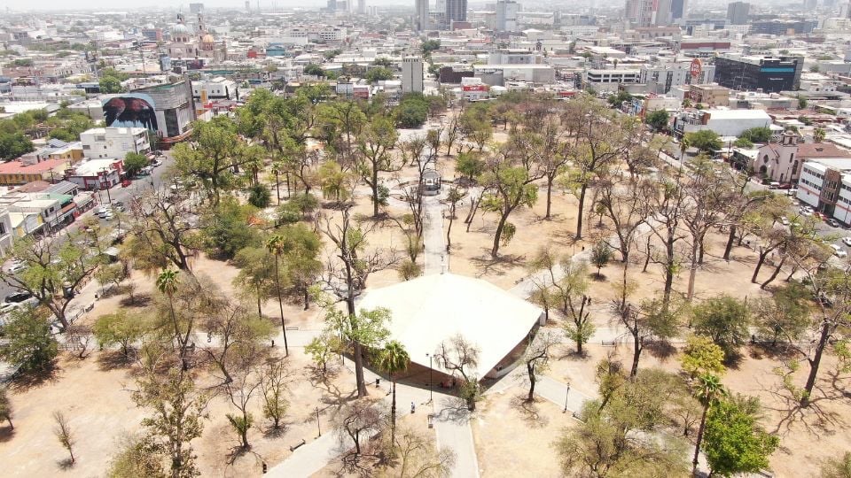 Monterrey invertirá 15 mdp para reforestación de Alameda