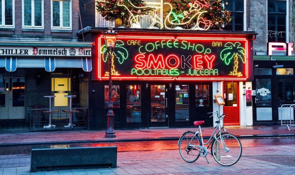 Cafés en Holanda empiezan a vender marihuana cultivada legalmente